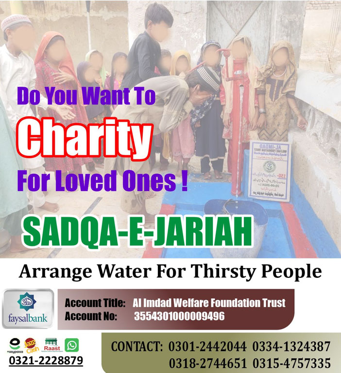 Impact Photo food-11